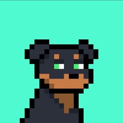 Reefmetax's profile picture. Community Builder || Free NFT expert II On 𝕏 since 2011