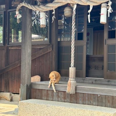 dodo1111w's profile picture. 大学生🏫(2休)/02世代/雰囲気日本株スイングメイン/投資額は雀の涙/@kakanosabu