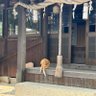 dodo1111w's profile picture. 大学生🏫(2休)/02世代/雰囲気日本株スイングメイン/投資額は雀の涙/@kakanosabu