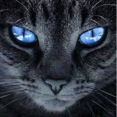 fatihmtlu80's profile picture. ÇokCahiLbirisiyim.X'i hobi olarak kullanıyorum.ÖngörüLerimin hiçbir geçerliliği yoktur.ÖngörüLerim kendimleAlakalıdır.TarafLarı bağlamamaktadır.