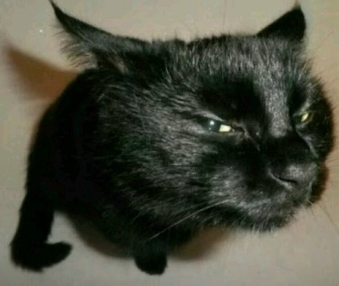 soren2yan's profile picture. 