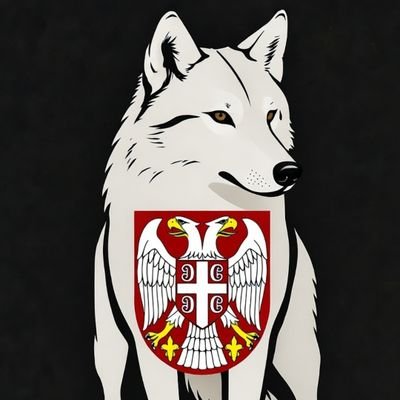 DusanSilni_1389's profile picture. Za nasu voljenu Srbiju 🇷🇸