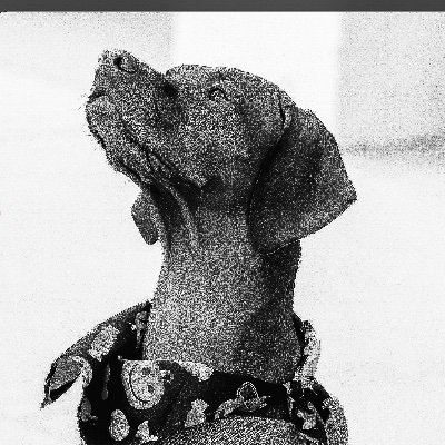 MaatYasuke's profile picture. ((((THINK INDEPENDENTLY)))