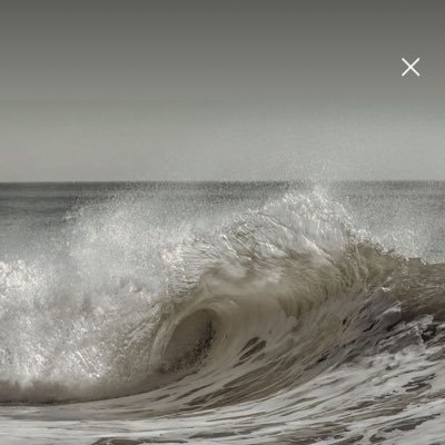 ii__A998's profile picture. 