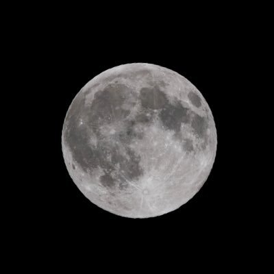 Hush7385's profile picture. 