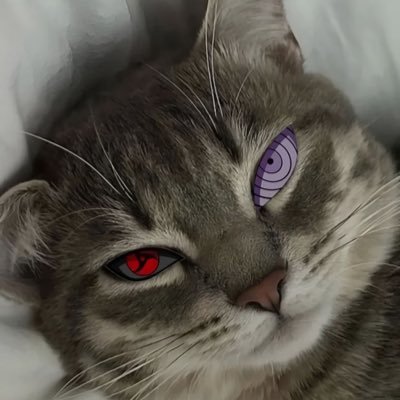 TabzXV's profile picture. Editor & Channel Manager || Prev //  @ConVFX • @Vladfnn • @prioxyfv • @reckzobot • @ESPHeartless