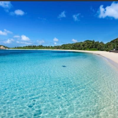 webweb789's profile picture. 千葉県 | 28歳 | AIを駆使して150以上のSEO記事を執筆 | 他にもLPやメルマガを経験 |初心者Webライターさんやブロガーさんに向けて情報を発信します！ |