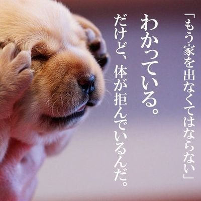 HGPYaxKIHr29821's profile picture. 犬と猫が好きです！