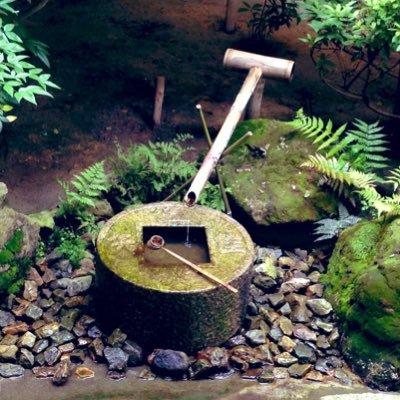 yun0310k_k's profile picture. 趣味と育児と家事と仕事とおいしいもの 息子(通称 ちーくん)は5歳