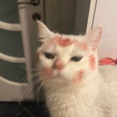 cestdeira's profile picture. non lang/book/life/study twt dnf ; corrections are welcome