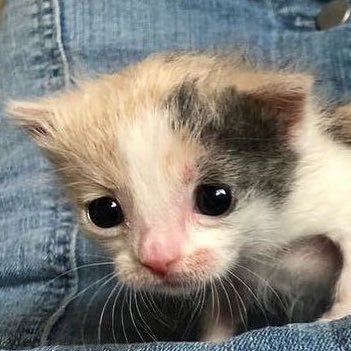 choiyeondu's profile picture. 26지방•••