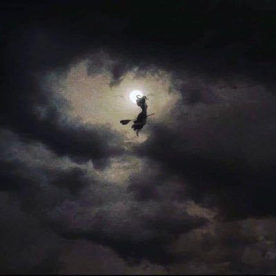 silvadreame's profile picture. per noctem