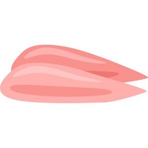 kpb__san Profile Picture
