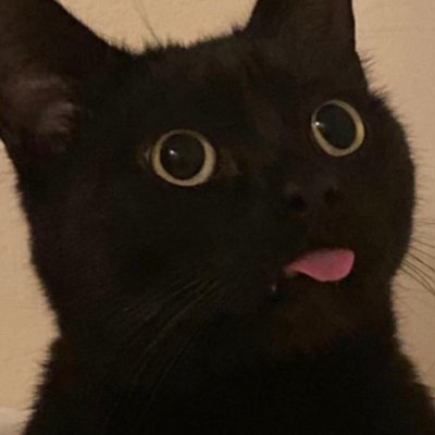 yoxsumett95's profile picture. 