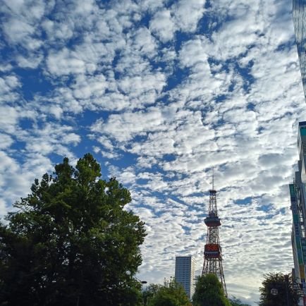 bb3067649's profile picture. 