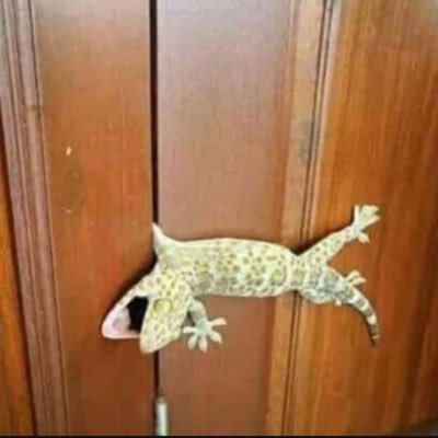 Adityayadav5050's profile picture. NOIDA 📍
18
HOMOPHOBIC 🥂