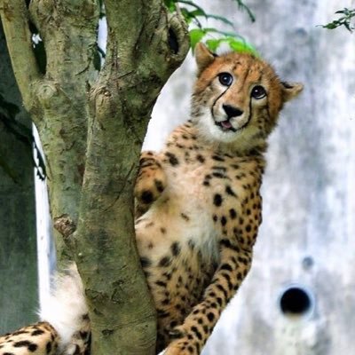 sakimoriさんのプロフィール画像