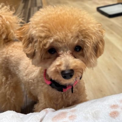 nnnnaaa0107's profile picture. 美容オタクじゃないけど、少しずつきれいになりたい🌷 スキンケア初心者が試してよかったものを紹介してます💄　  #美容初心者 #スキンケア #PR