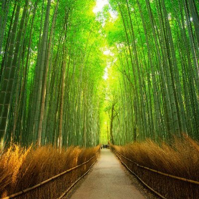 ThienblXua71689's profile picture. π²