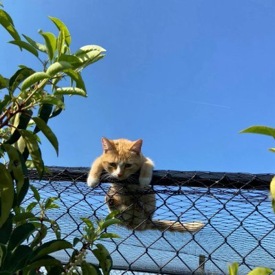 trillionsxyz's profile picture. diving into rabbit holes of AI, financial markets, and business