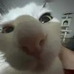 hypero7_'s profile picture. 