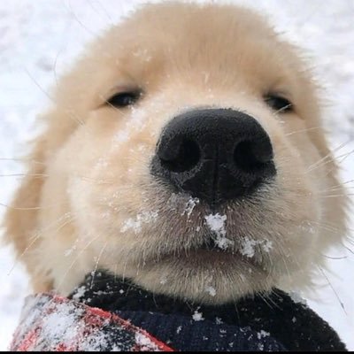 RoboJoe9's profile picture. 