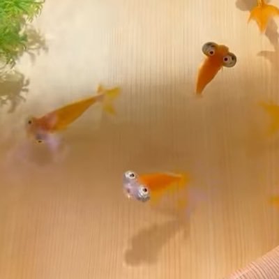 0x_x0rio's profile picture. 