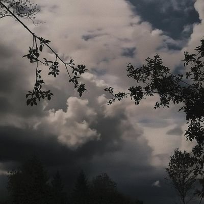 dreamy_brother's profile picture. 