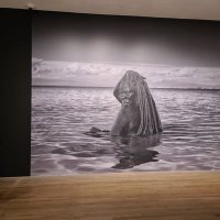 MJen2 (@mbjensen2) 's Twitter Profile Photo