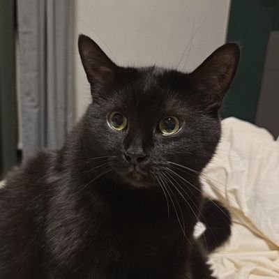 t4tianacs's profile picture. 