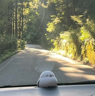 nyaon119's profile picture. 最新のかんたん副業のまとめです📋️
いっしょに頑張る仲間を募集中🐱
動物、アニメがすき🫶
フォロバ100です！！雑談もいっぱいしましょう！宜しくお願いします🙇
↓ご相談はDMまで↓
