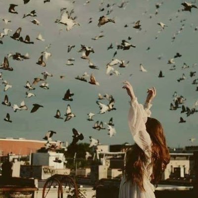 rashatawakol3's profile picture. 