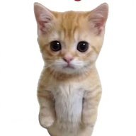 pionging_concrn's profile picture. Self-review | CPAR B97 | PINNACLe Batch 8 | CRC-ACE - Integ Review | REO Basics | 🍀 Royalty CPA🍀 | chances favored the prepared one | ISTP