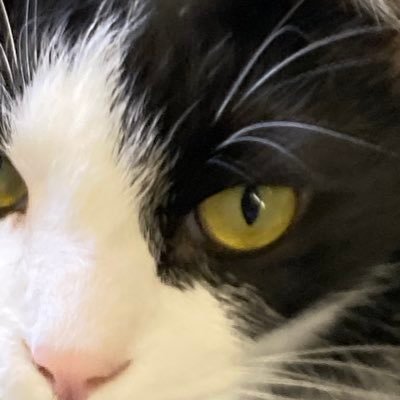 radon5511732's profile picture. 静岡県・格闘技ファン（グレコインハイ県ベスト8・柔道インカレ・アマ修斗2勝2敗）・大抵のオタトークにはついていける・麻雀愛好家 ※当方がフォローしてる方以外のDMには返答しません。