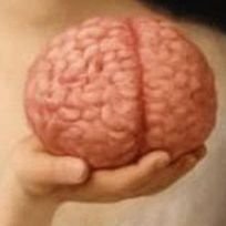 ShakeelSha71127's profile picture. Bio main kia rkha ha aana ha to dil Main aao °°°°°°