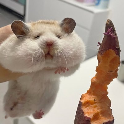 hinaminejp's profile picture. フォローしてケロ