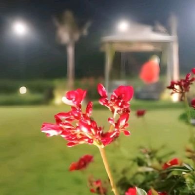 Gjangid20's profile picture. 