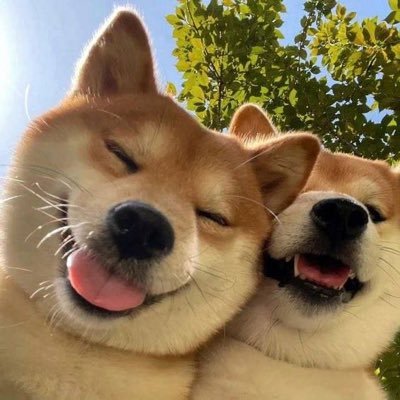 Winwin_LO's profile picture. 