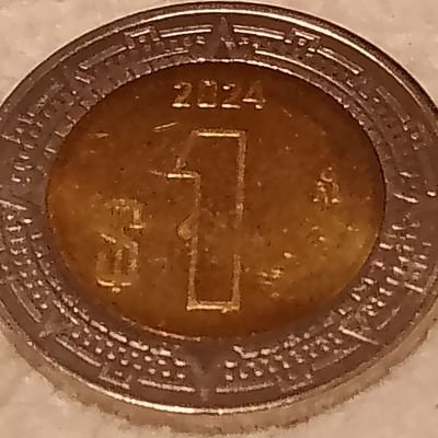 rgdp_lights's profile picture. I am random, a guy, a dude, and a person
(get it bc my name is rgdp :D)