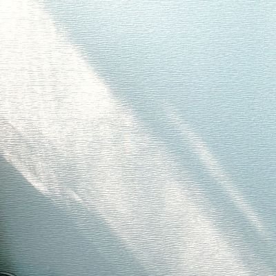 woolpages's profile picture. 