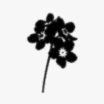 GhostWorkers's profile picture. do not follow ๑ï