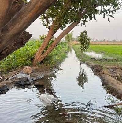 ImParveen4K1's profile picture. 23 |🚜🇮🇳🏹| Punjabi DHH | Techie | Sports Life | 🎯🎙️