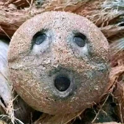 SaymaAkter5124's profile picture. 