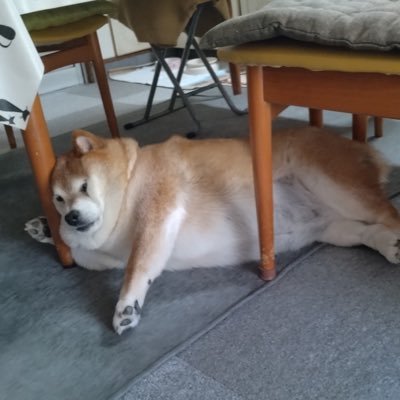 hshvej's profile picture. 福岡の看護師→デザイナー転職を目指して勉強中💡   勉強記録投稿中📘   #デザイン勉強中 #駆け出しデザイナー