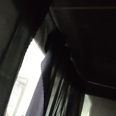 lql1463961's profile picture. 
