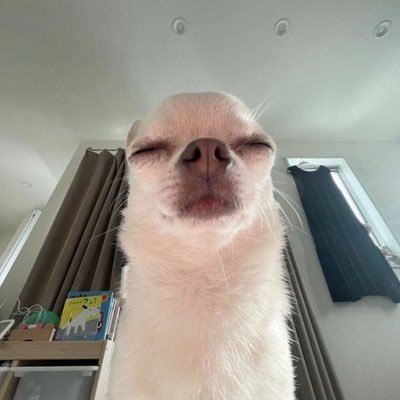 zzocotime's profile picture. 