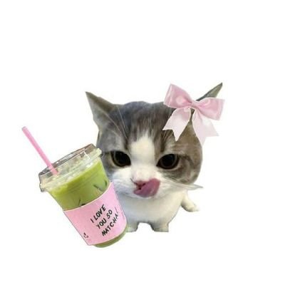 沢山夢のある人だけだ… • she/her 🇵🇸
