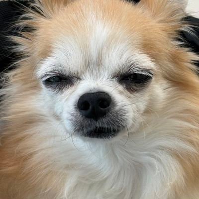 rieさんのプロフィール画像