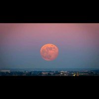 Syl_71 (@spfaue) 's Twitter Profile Photo