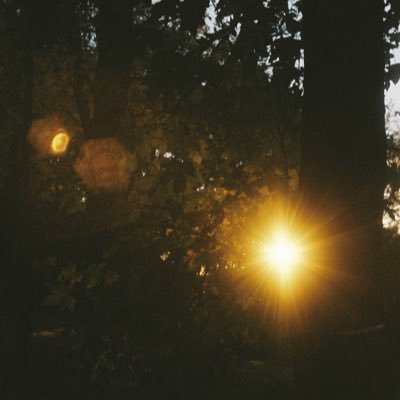 8ectic8's profile picture. 